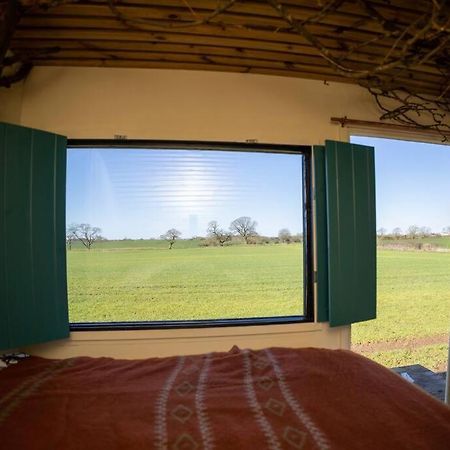 セッジフィールド 'Pipistrelle' Remote Off-Grid Micro Cabinヴィラ エクステリア 写真