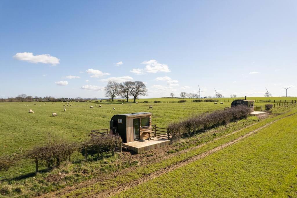 セッジフィールド 'Pipistrelle' Remote Off-Grid Micro Cabinヴィラ エクステリア 写真