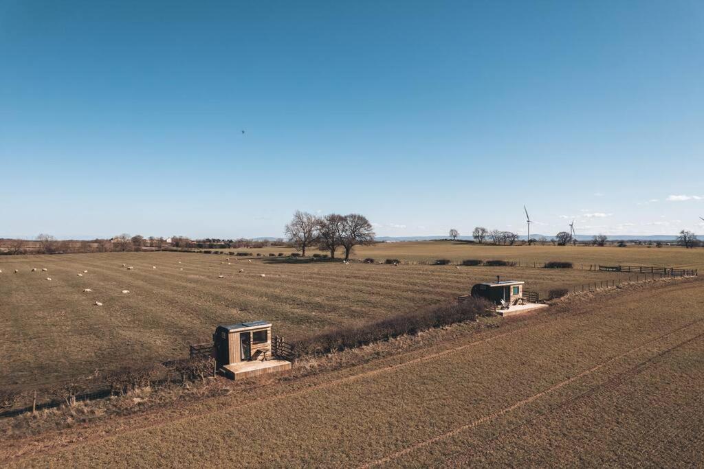 セッジフィールド 'Pipistrelle' Remote Off-Grid Micro Cabinヴィラ エクステリア 写真